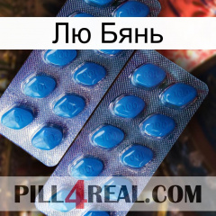 Лю Бянь viagra2